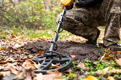 metal detecting 